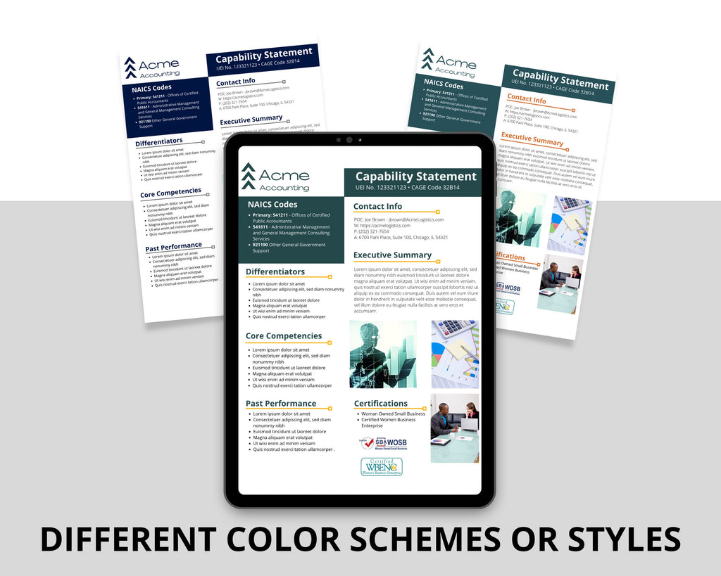 Canva Editable Government Capability Statement Template: Accounting & Financial Services