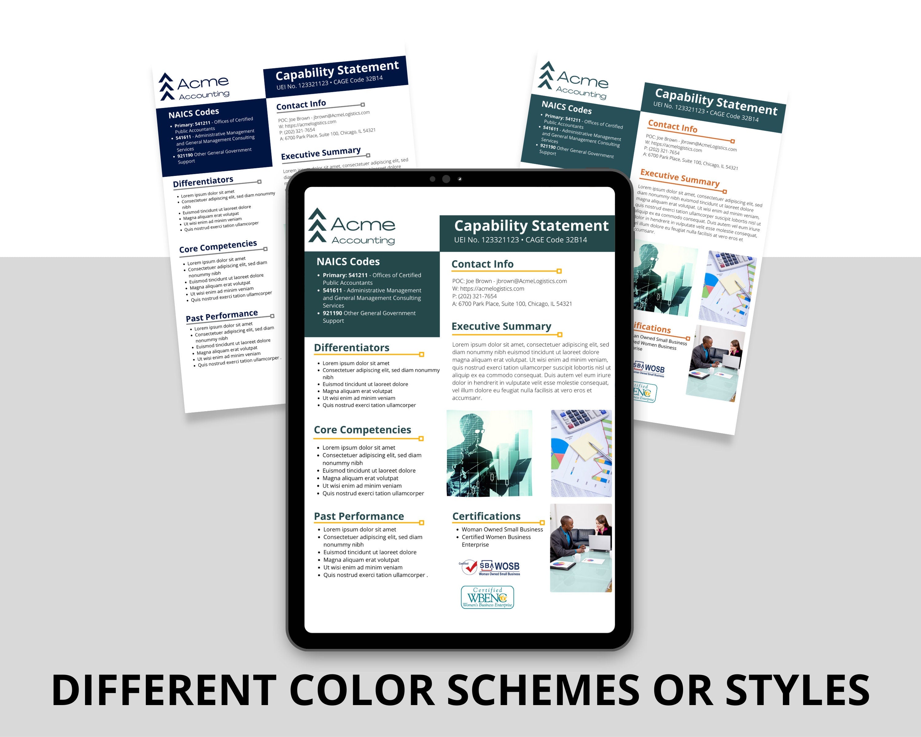 Canva Editable Government Capability Statement Template: Accounting & Financial Services