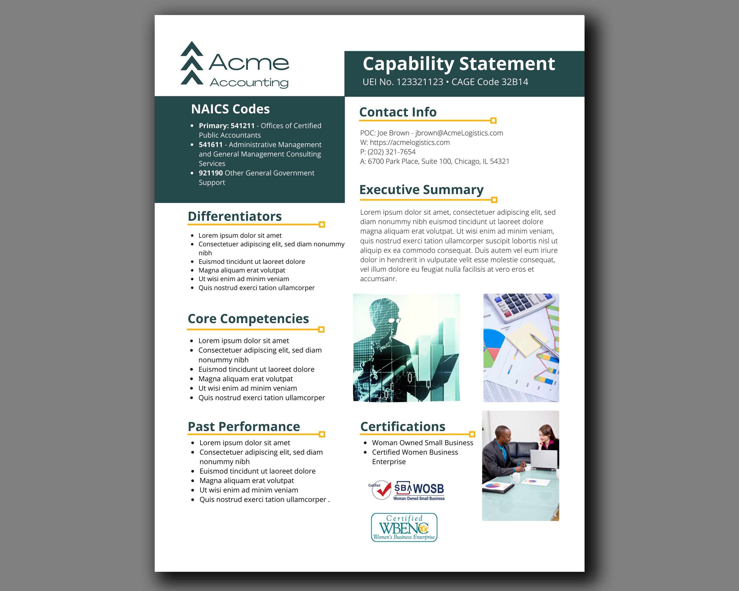 Canva Editable Government Capability Statement Template: Accounting & Financial Services