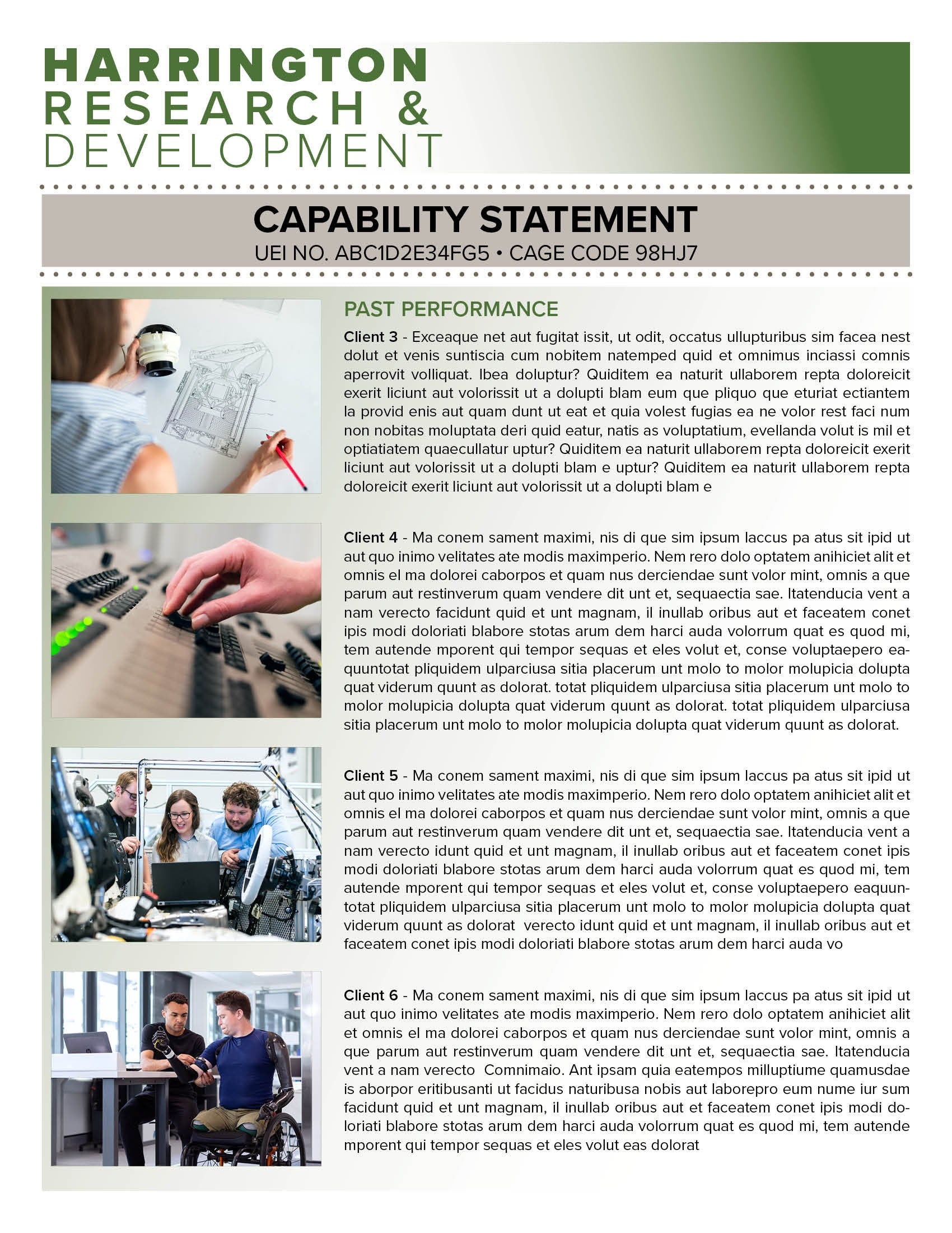 Government Capability Statement Template: Canva Editable Design