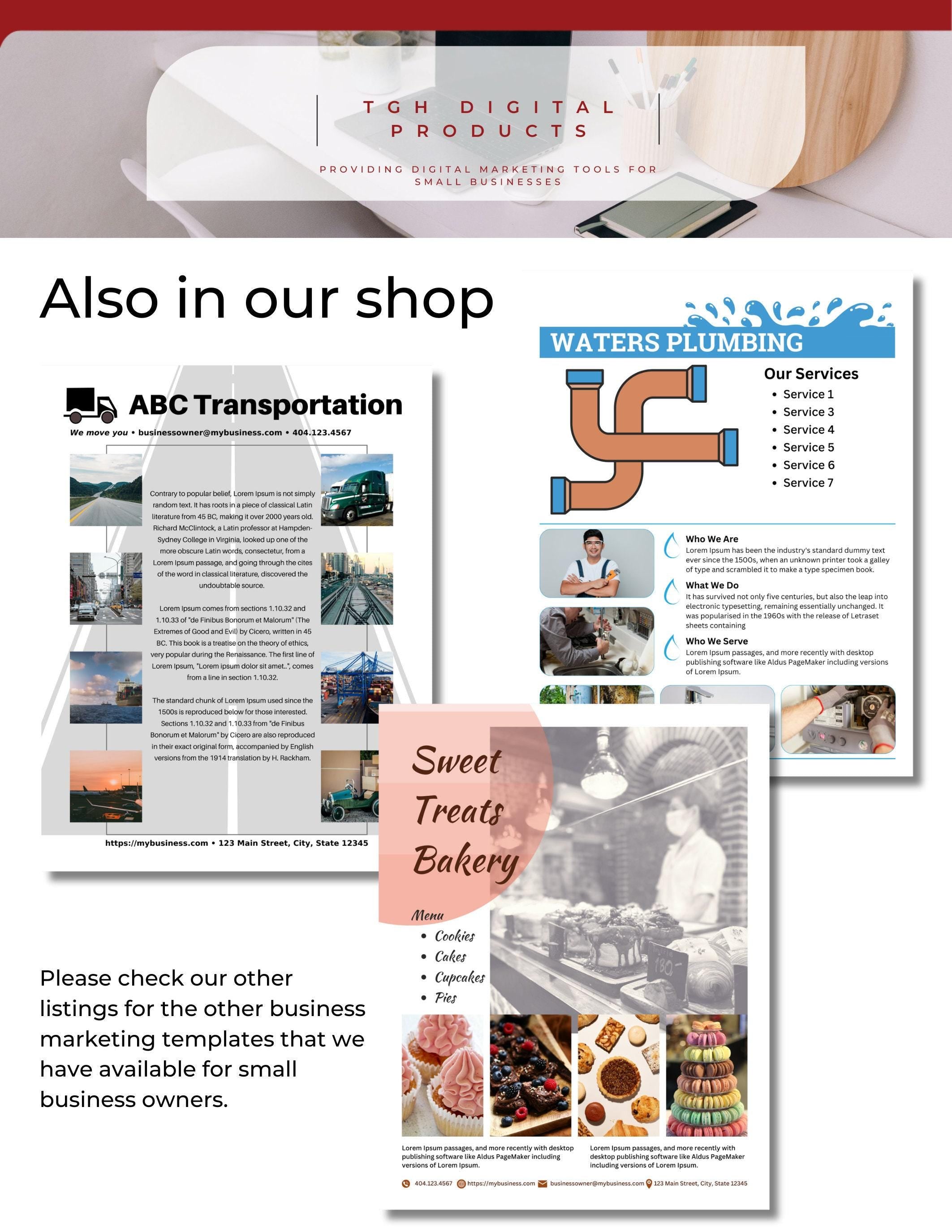Business Consultant Template Digital Flyer Design Marketing Handout Download Customizable Canva Professional Branding Resource Industry