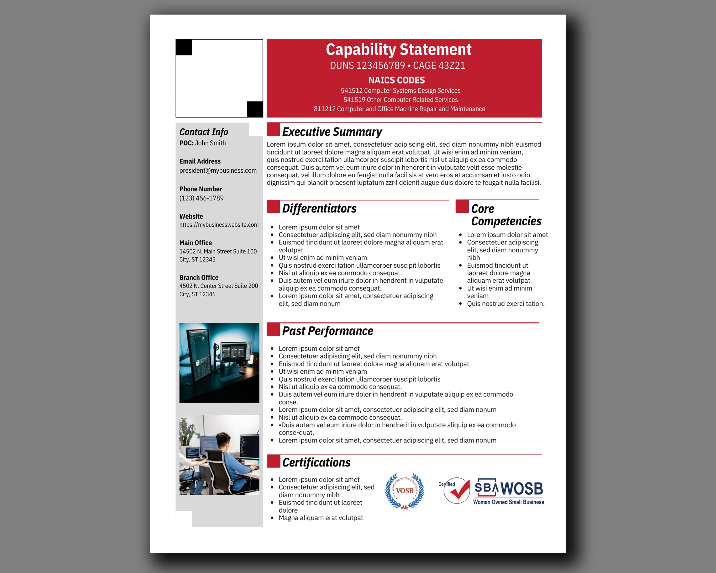 IT Capability Statement Template: Government Marketing (Canva Editable)