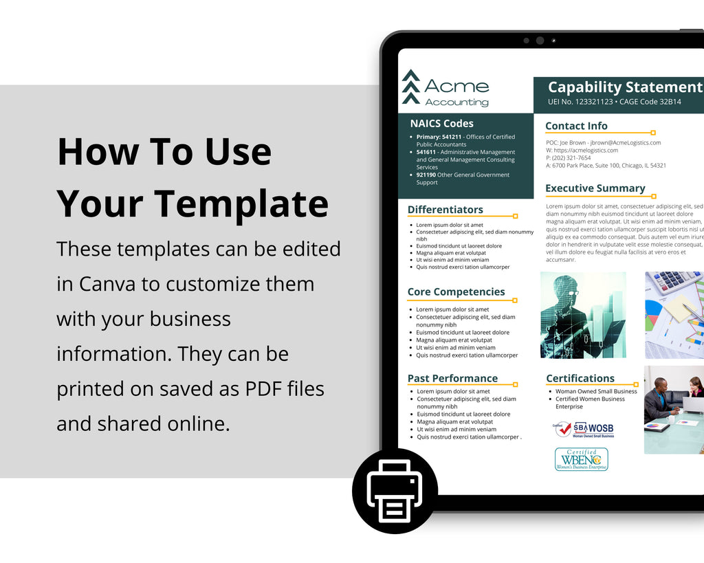 Canva Editable Government Capability Statement Template: Accounting & Financial Services