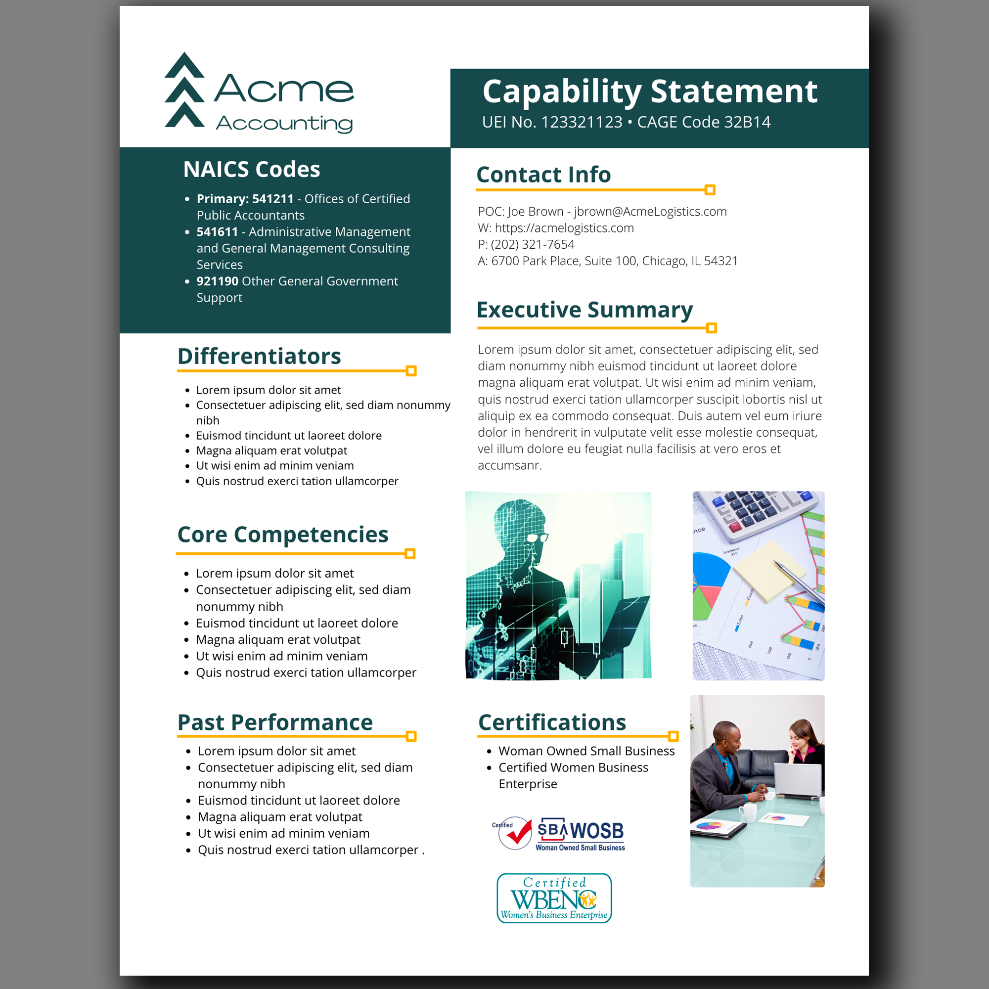 Canva Editable Government Capability Statement Template: Accounting & Financial Services