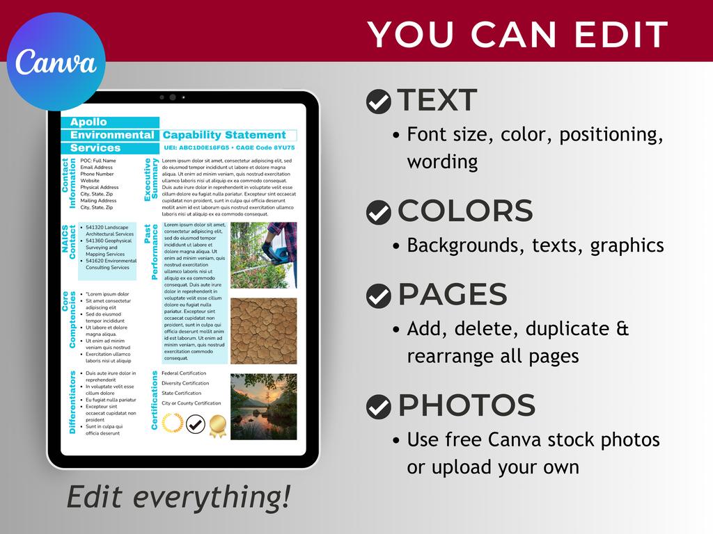 Government Capability Statement Template: Editable Canva Design