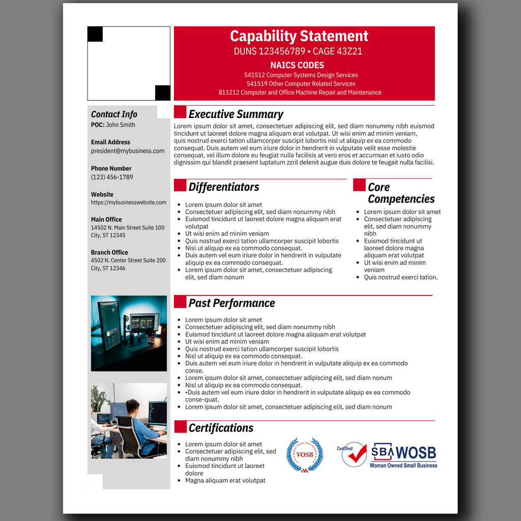 IT Capability Statement Template: Government Marketing (Canva Editable)