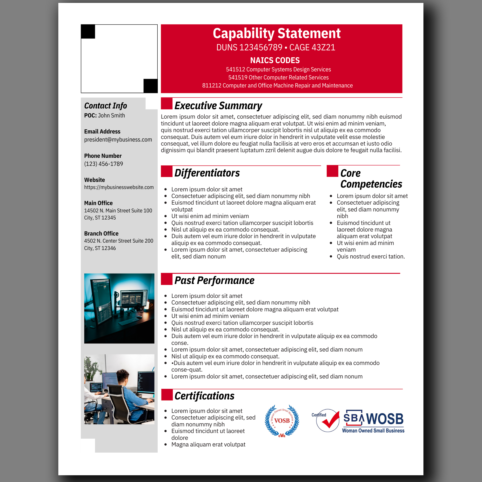 IT Capability Statement Template: Government Marketing (Canva Editable)