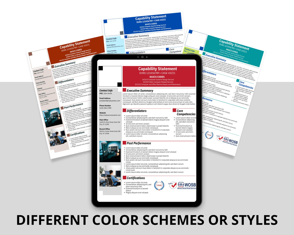 IT Capability Statement Template: Government Marketing (Canva Editable)