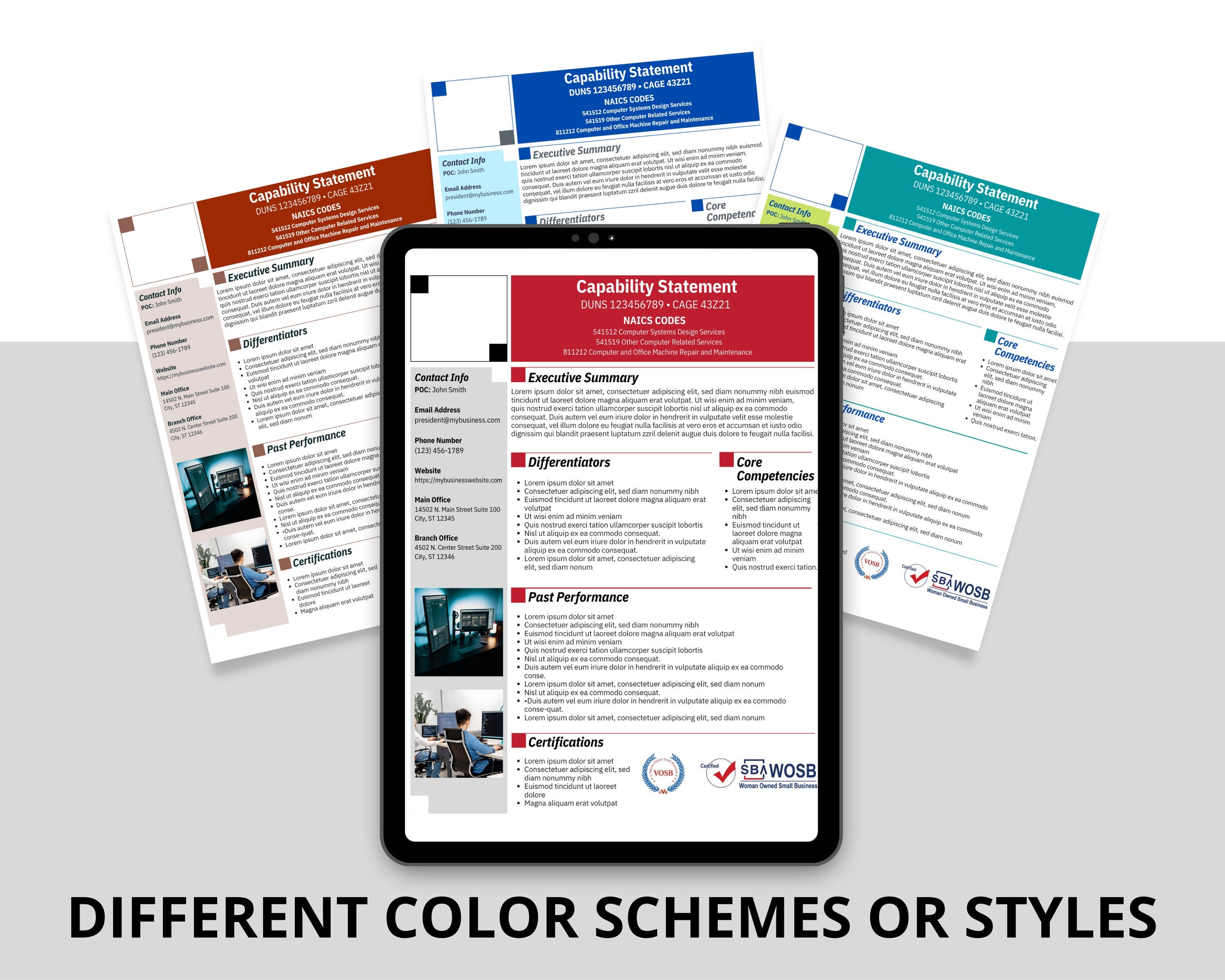 IT Capability Statement Template: Government Marketing (Canva Editable)