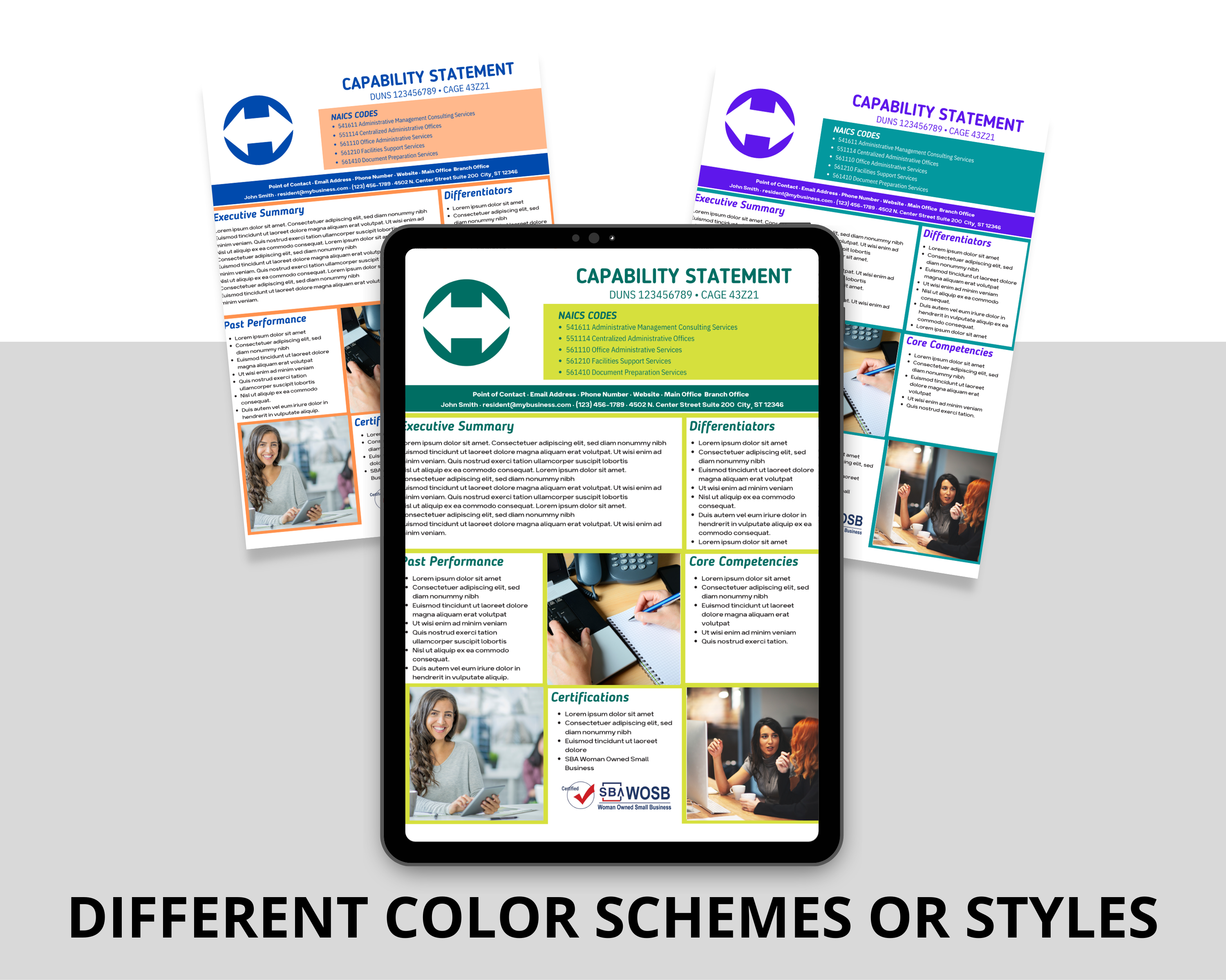 Government Capability Statement Template: Administrative Services (Canva Editable)