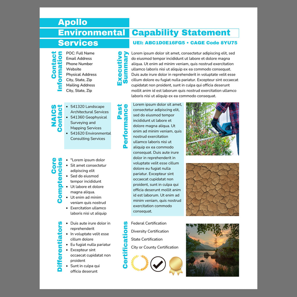 Government Capability Statement Template: Editable Canva Design