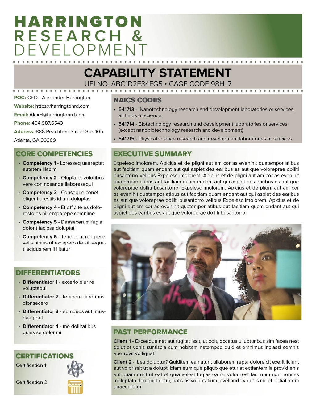 Government Capability Statement Template: Canva Editable Design