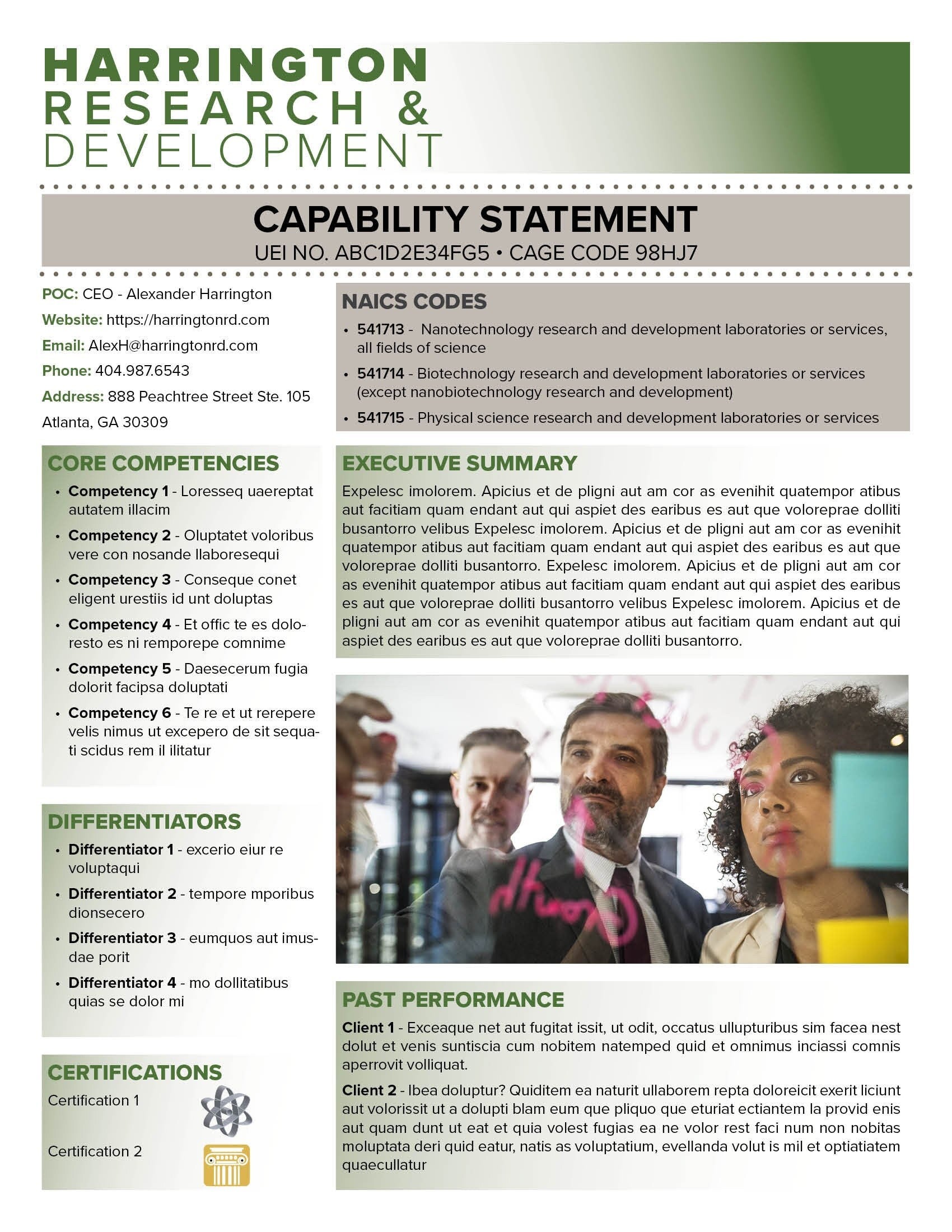 Government Capability Statement Template: Canva Editable Design