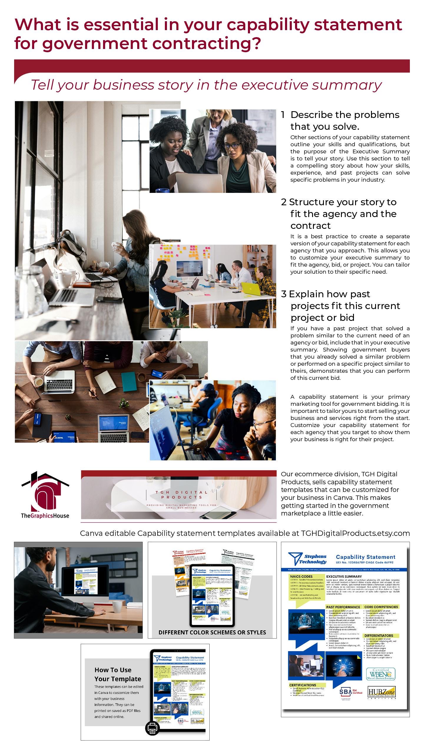 Technology Capability Statement Template: Government Marketing (Canva Editable)