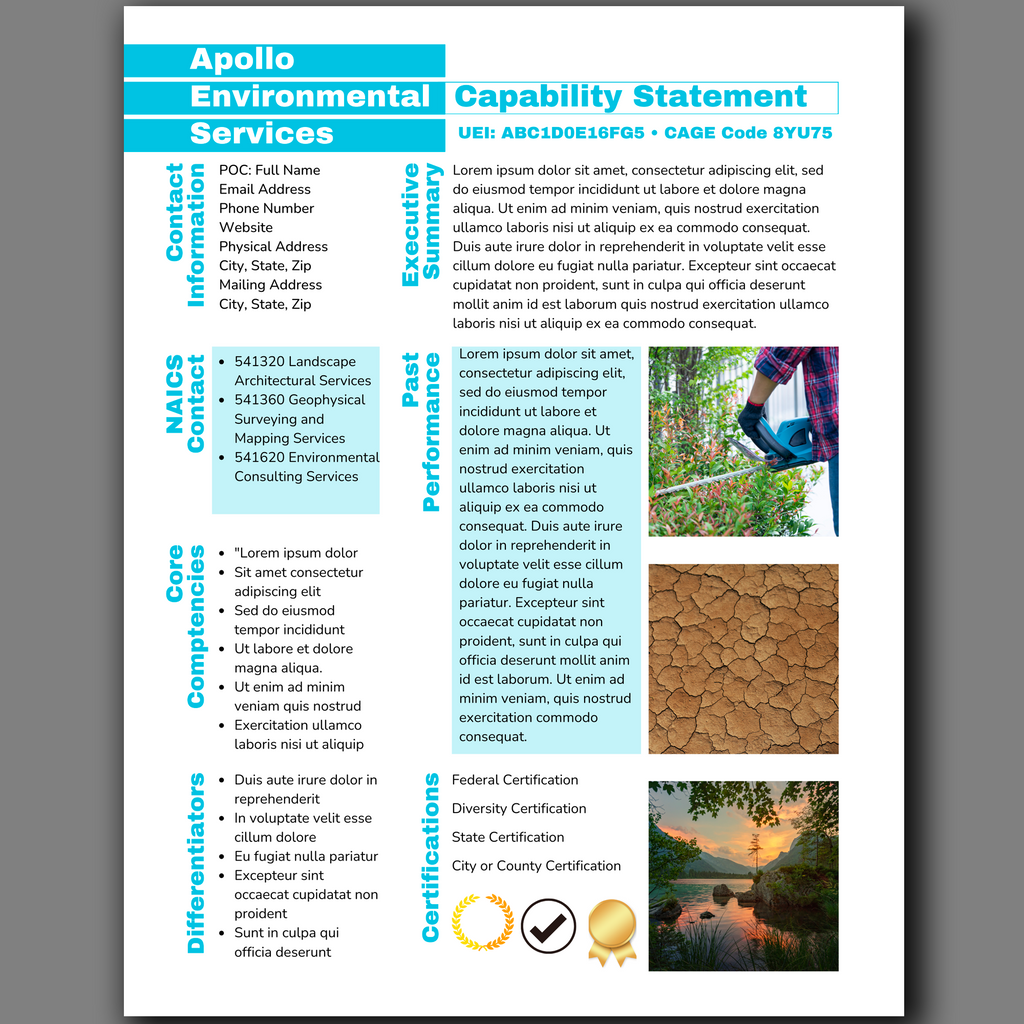 Government Capability Statement Template: Editable Canva Design