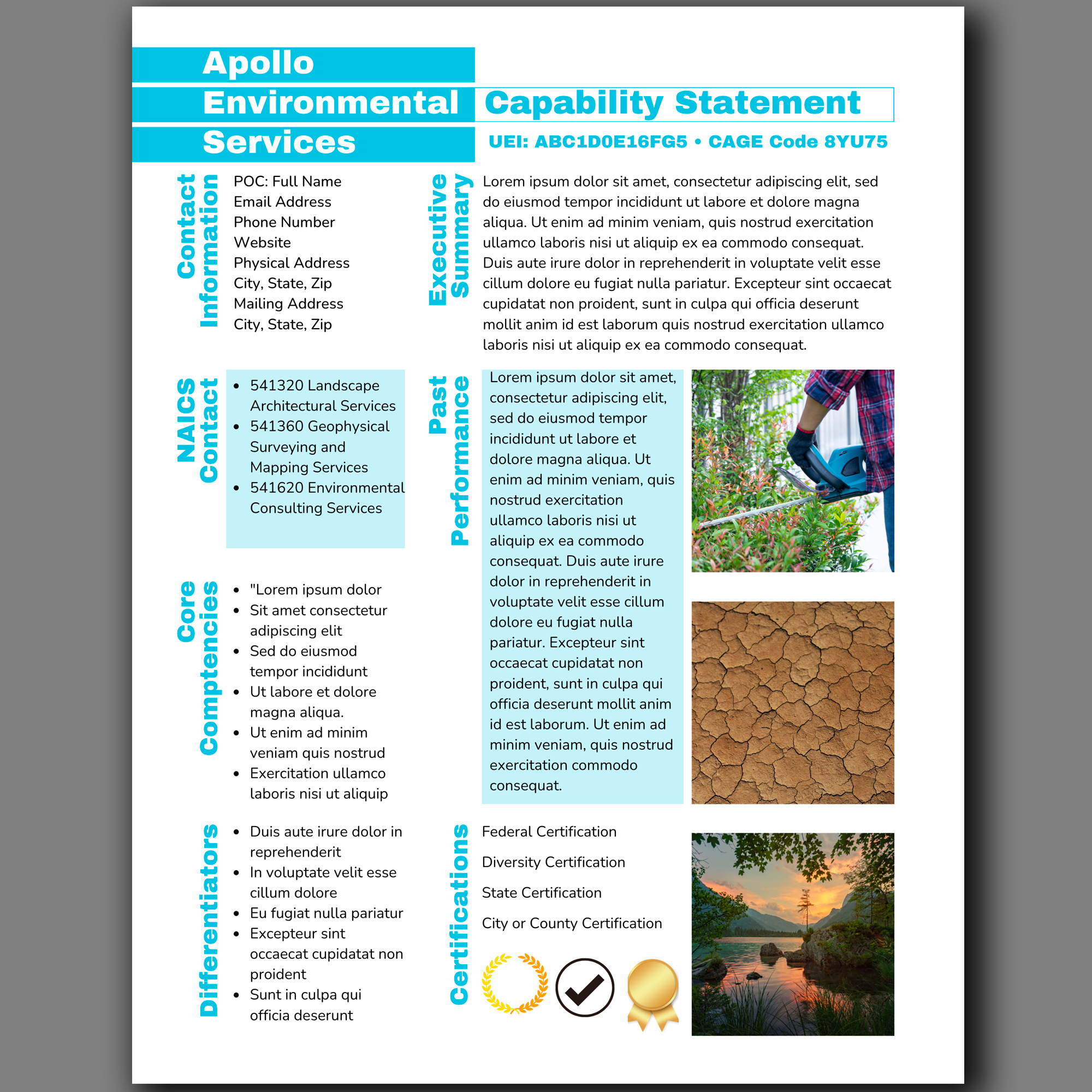 Government Capability Statement Template: Editable Canva Design