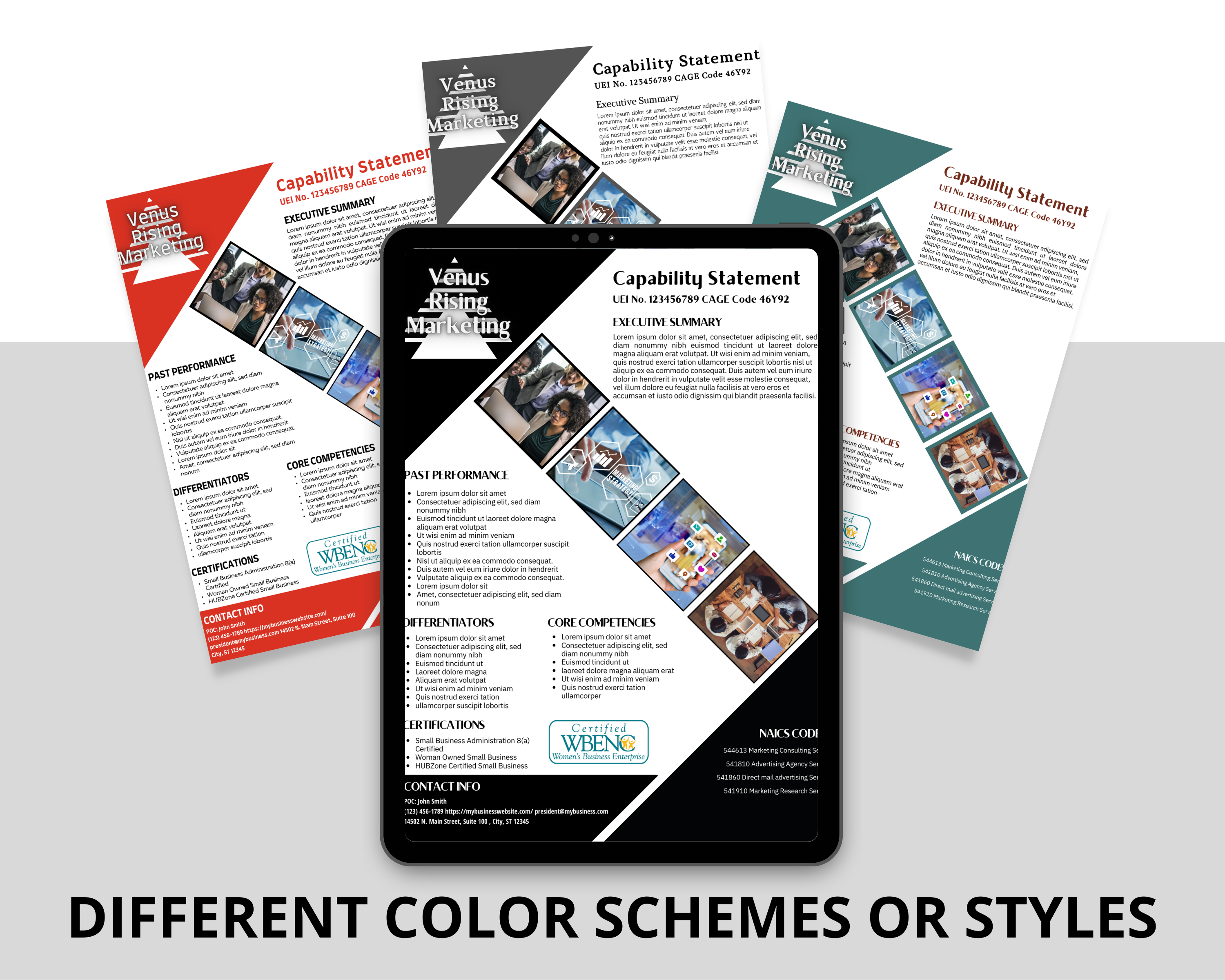 Government Proposal Canva Template: Marketing Capability Statement