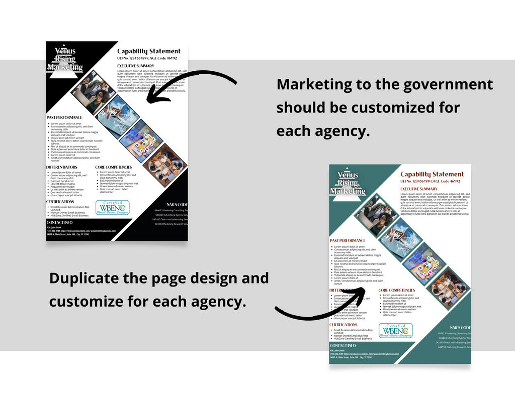 Government Proposal Canva Template: Marketing Capability Statement