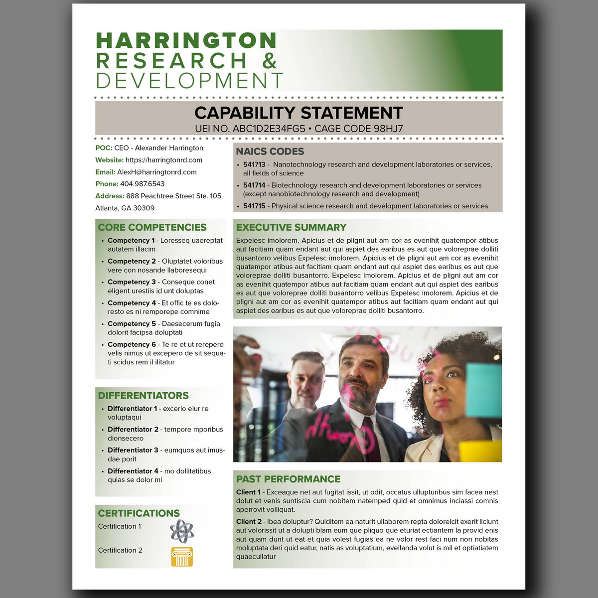 Government Capability Statement Template: Canva Editable Design