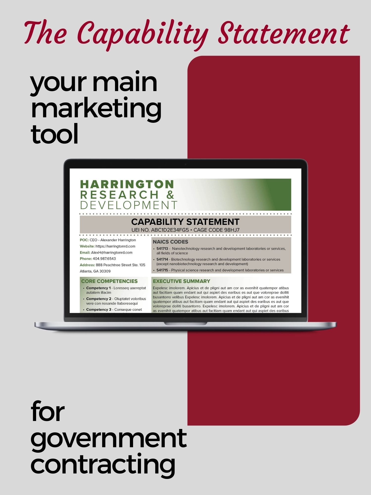 Government Capability Statement Template: Canva Editable Design