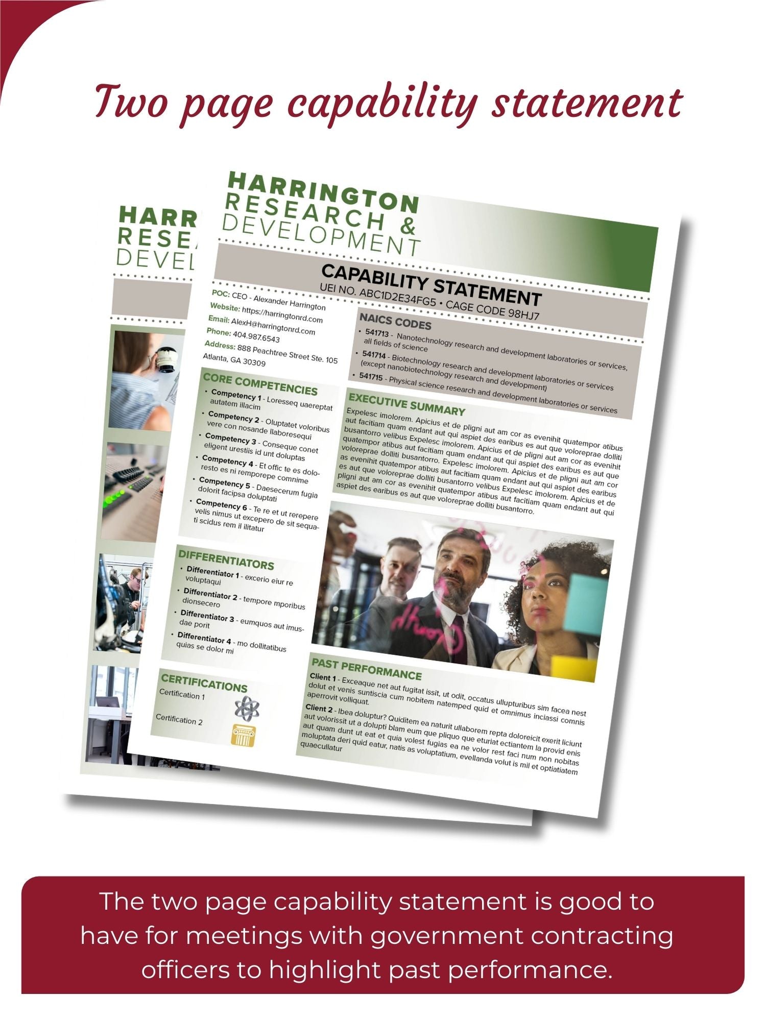 Government Capability Statement Template: Canva Editable Design