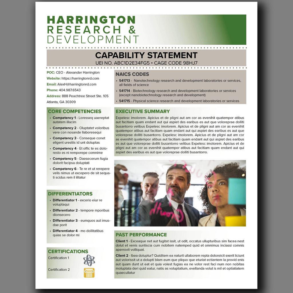 Government Capability Statement Template: Canva Editable Design