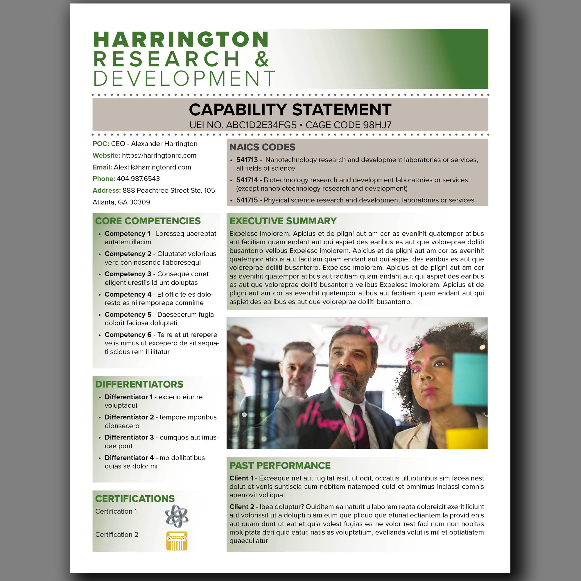 Government Capability Statement Template: Canva Editable Design